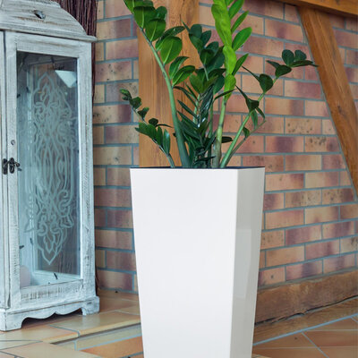 Prosperplast Saksija za cveće sa uloškom Urbi Square 50cm Bela