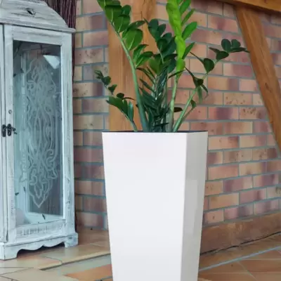 Prosperplast Saksija za cveće sa uloškom Urbi Square 50cm Bela