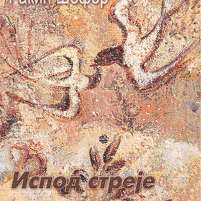 Ispod Streje Dedine Kolibe, Slobodanka Rakić Šefer