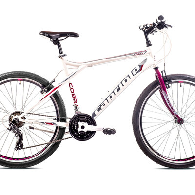Bicikl Capriolo Cobra 26/21 919412-20