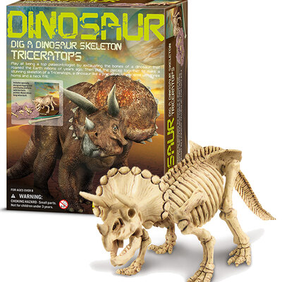 Iskopaj fosil triceratopsa 4M 4M03228