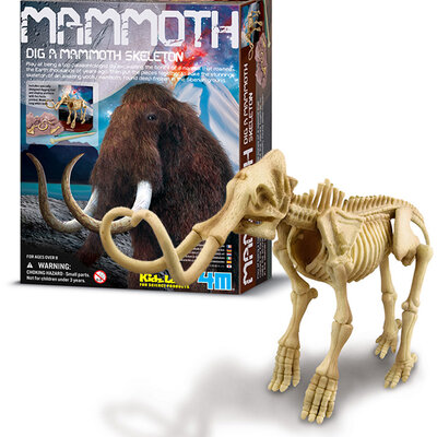 Iskopaj fosil mamuta 4M 4M03236