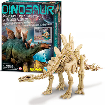 Iskopaj fosil Stegosaurusa 4M 4M03229