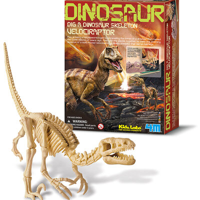 Iskopaj fosil Velociraptor 4M 4M13234