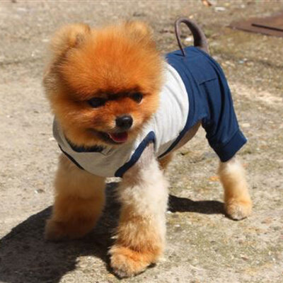 NunaNai pets odelce za pse plavo S/M