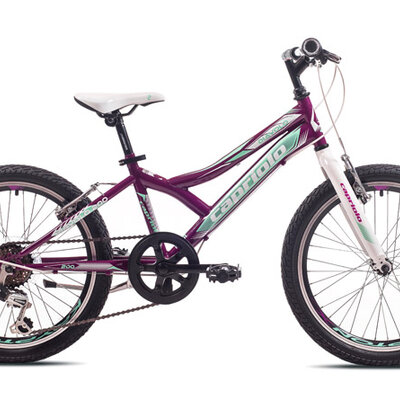 Bicikl Capriolo Diavolo 200 919290-11