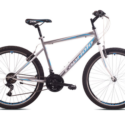 Bicikl Capriolo Passion Man 26/18 919372-19