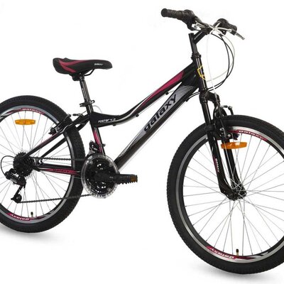 Bicikl Foster 4.0 24/18 crna/ciklama