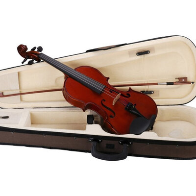Školska violina sa koferom Soundsation VSVI 4/4