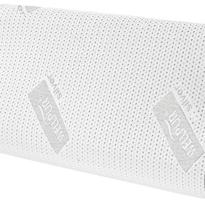 Anatomski jastuk od memorijske pene Wellpur Styrn