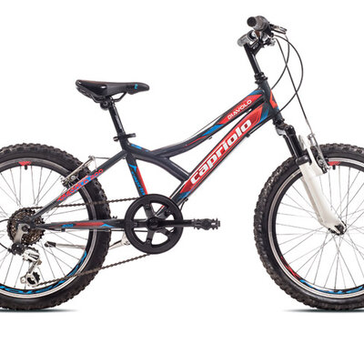Dečiji bicikl Capriolo Diavolo 200 FS 919295-11