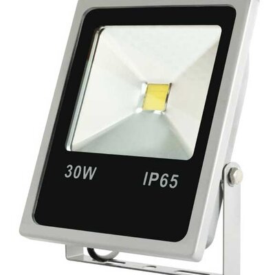 LED reflektor 30W IP65 FL30LED