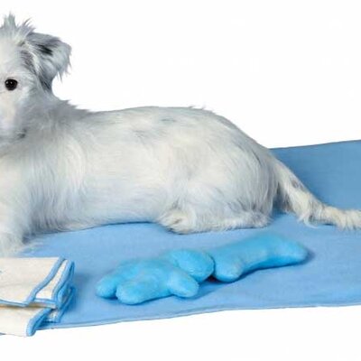 Trixie Prostirka - ćebence i peškir za štence blue 15588