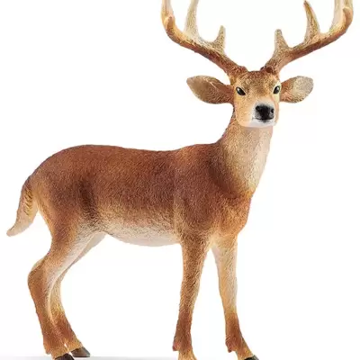 Schleich Figurice Divlje životinje - Belorepi jelen 14818