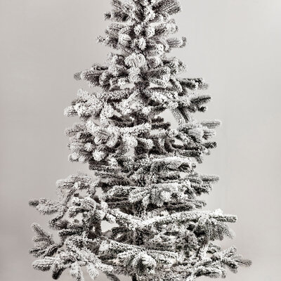 Novogodišnja jelka Royal 220cm