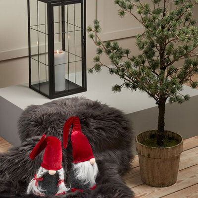 Jelka Visine 115 cm, u Saksiji 