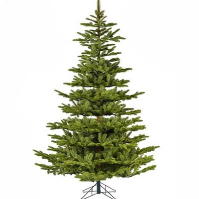 Realistična novogodišnja jelka visine 180 cm Koreana Spruce 68.9981