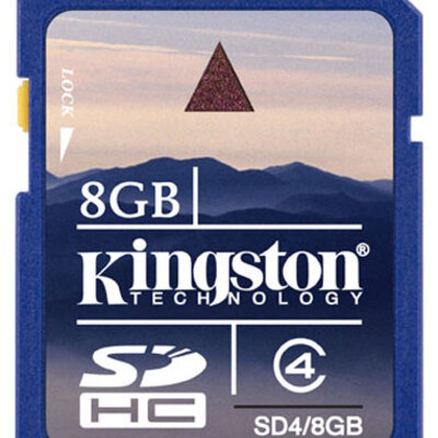 Kingston SDHC memorijska kartica SD4/8GB