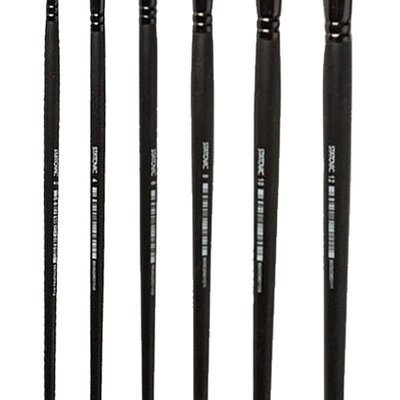 POP BRUSH 300 - Četkice flah - crne 6 kom. br.2-12