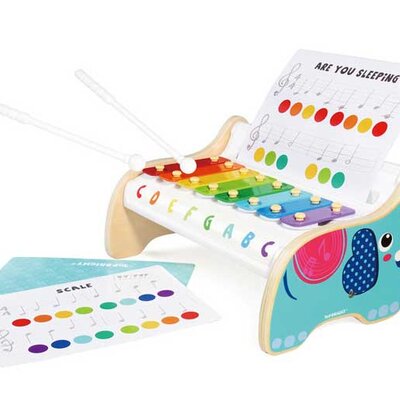 Top Bright Ksilofon Slonče 120407