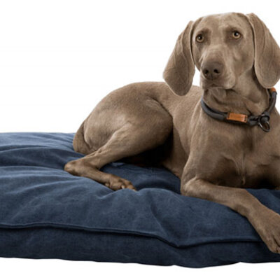 Jastuk za psa Be Nordic Fohr Dark Blue 110cm Trixie 36492