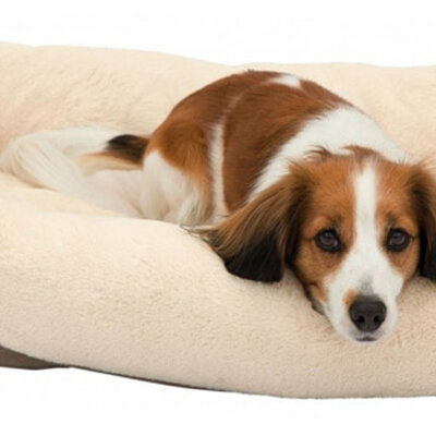 Ležaljka za psa Pippa 80cm Trixie 37498