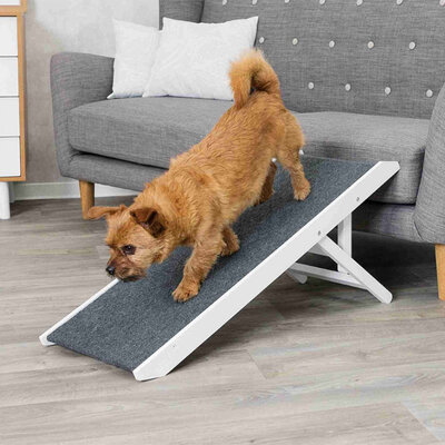 Podesiva kućna rampa za pse Trixie 39375