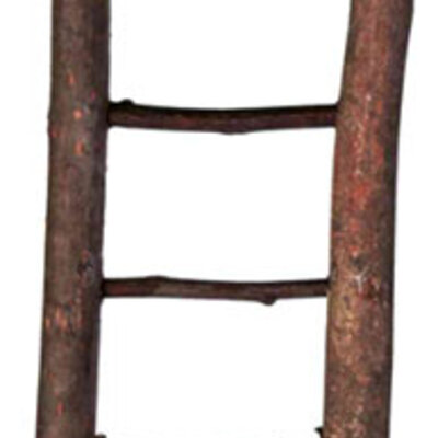 Merdevine od prirodnog drveta 7 prečki za kavez za ptice Trixie 5880