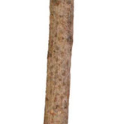 Drvena prečka za kavez Natural 35cm Trixie 5877