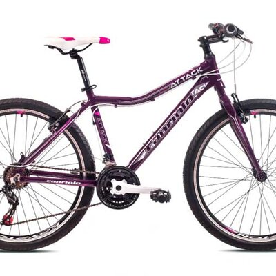Ženski bicikl Capriolo Attack Lady 26 919565-17
