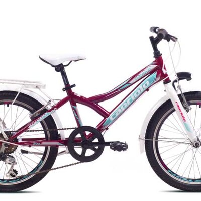 Dečiji bicikl Capriolo Diavolo 200 City 919298-11