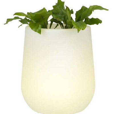 Saksija sa LED osvetljenjem Ecox