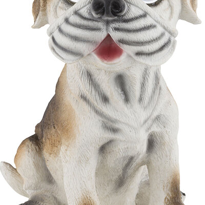 Globo solarna lampa pas