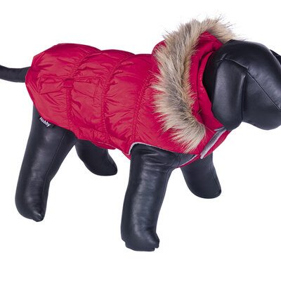 Nobby Jakna za pse Daiki Red leđa 44cm 65250