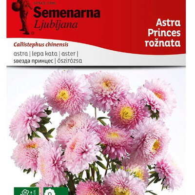 Seme Lepa Kata Princes - roze - Callistephus chinensis 2277