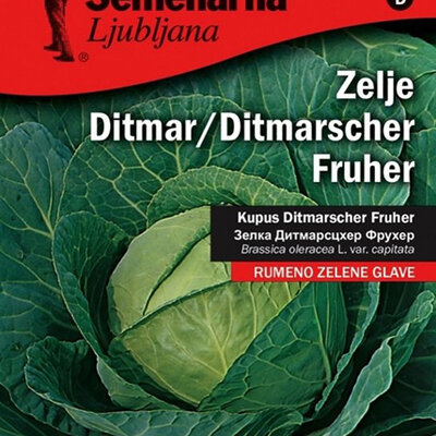 Povrće - seme 50g - Kupus Ditmar - Brassica oleracea var. capitata L.