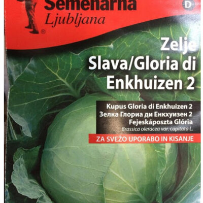 Povrće - seme - Kupus Slava - Brassica oleracea var. capitata L.- 42