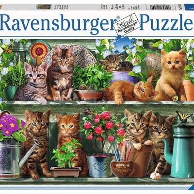 Ravensburger Puzzle 500 delova - Mačke na polici 14824