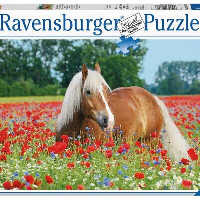 Ravensburger Puzzle 500 delova - Konj u polju maka 14831