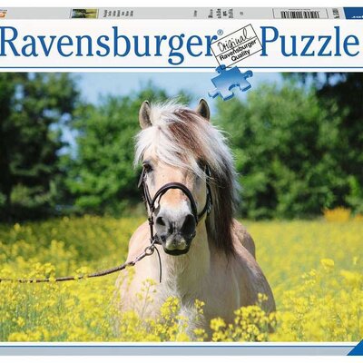 Puzzle 500 delova Konj u polju uljane repice Ravensburger 15038
