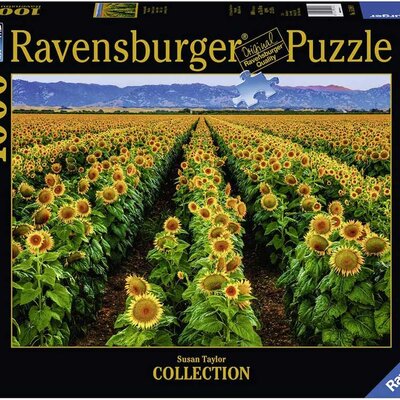 Puzzle Slagalica 1000 Zlatna polja suncokreta Ravensburger 15288