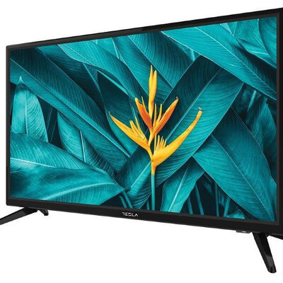 Tesla LED televizor 24E311BH DVB-T2/C/S2 HD Ready