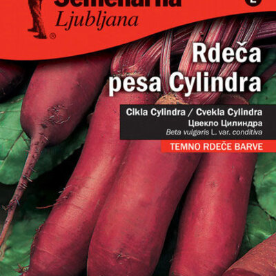 Seme 5 kesica - Cvekla cilindra - Beta vulgaris L. var. conditiva 266