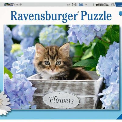 Puzzle 300 XXL delova Maleno mače Ravensburger 12894