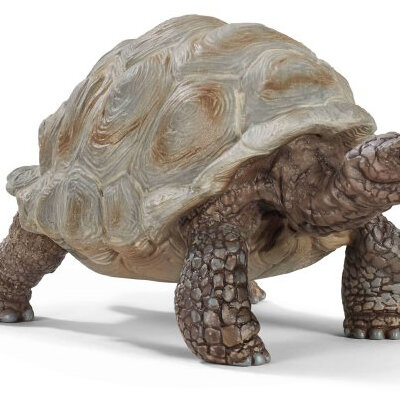 SCHLEICH Figurice Divlje životinje - Džinovska kornjača 14824
