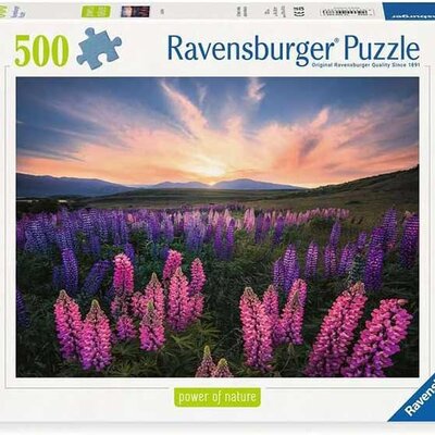 Puzzle slagalica 500 delova Polje rascvetane lupine Ravensburger 12000688