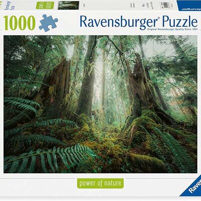 Puzzle slagalica 1000 delova Šuma Ravensburger 12000292