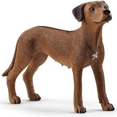 Schleich Figure Domaće životinje - Pas Rodezijski ridžbek 13895