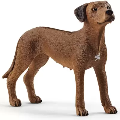 Schleich Figure Domaće životinje - Pas Rodezijski ridžbek 13895