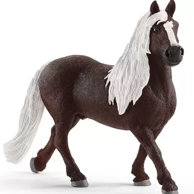 Schleich Figure Konji - Blek Forest - pastuv 13897
